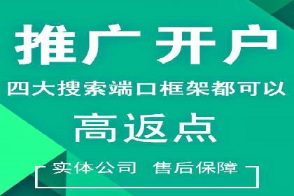 电商信息流广告推广成功案例分享